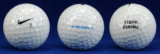 Tiger Dunne (Nike 2 PD High)