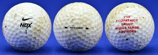 The Fitzpatrick Group Wells Fargo Advisors (Nike NDX 1 Heat)
