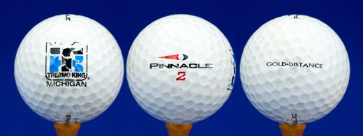 Thermo King Michigan (Pinnacle 2 Gold Distance)