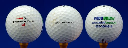 Wico Bouw (Pinnacle 4 Gold Disntance)
