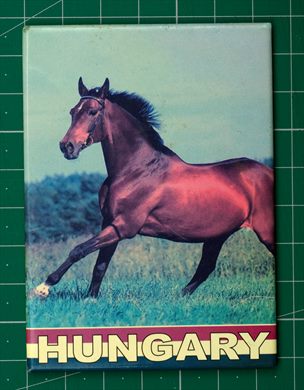 Hungria cavalo