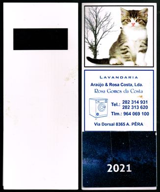 Lavandaria Araujo e Rosa Costa-2021