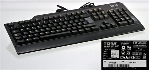 IBM SK-8820