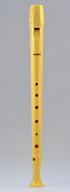 Flauta Hohner