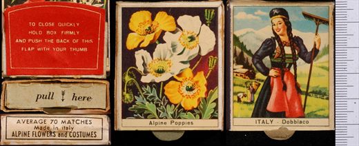 Alpine Flowers and Costumes - Alpine Poppies