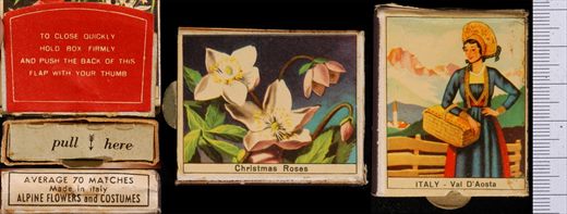 Alpine Flowers and Costumes - Christmas Roses