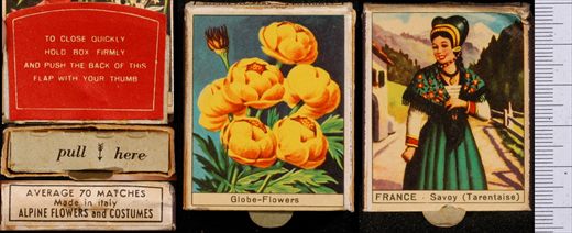 Alpine Flowers and Costumes - Globe-Flowers