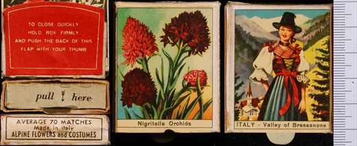 Alpine Flowers and Costumes - Nigritella Orchids
