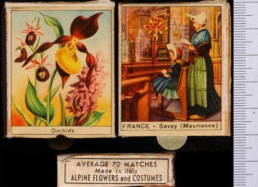 Alpine Flowers and Costumes - Orchids