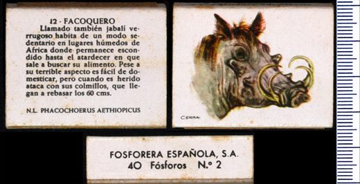 Animais (FESA) 12
