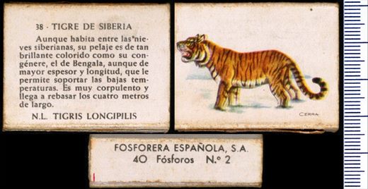 Animais (FESA) 38