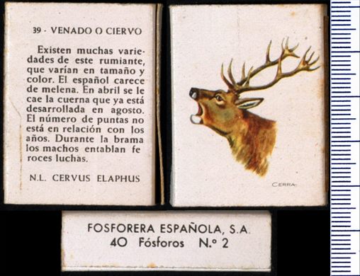 Animais (FESA) 39