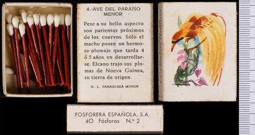 Aves Exoticas (FESA) 04