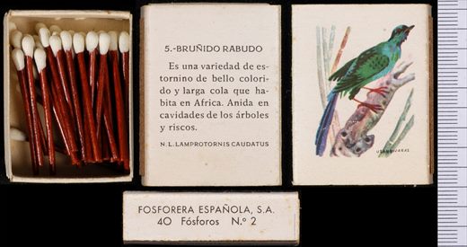 Aves Exoticas (FESA) 05