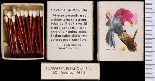 Aves Exoticas (FESA) 06