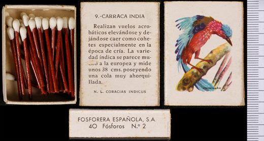 Aves Exoticas (FESA) 09