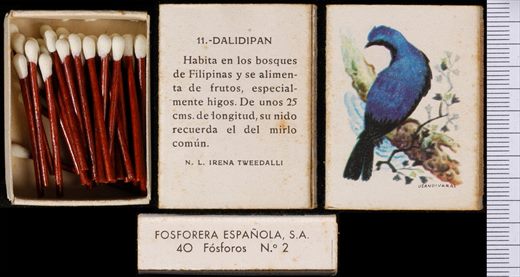 Aves Exoticas (FESA) 11