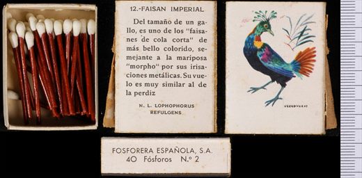 Aves Exoticas (FESA) 12