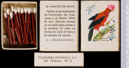 Aves Exoticas (FESA) 13