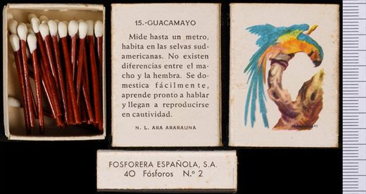 Aves Exoticas (FESA) 15