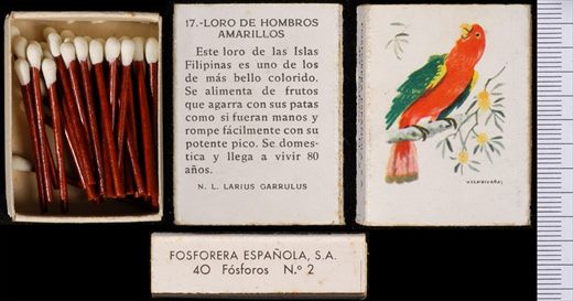 Aves Exoticas (FESA) 17