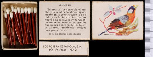Aves Exoticas (FESA) 18