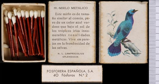 Aves Exoticas (FESA) 19