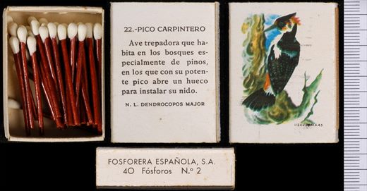 Aves Exoticas (FESA) 22