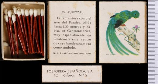 Aves Exoticas (FESA) 24