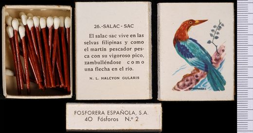 Aves Exoticas (FESA) 26