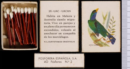 Aves Exoticas (FESA) 29
