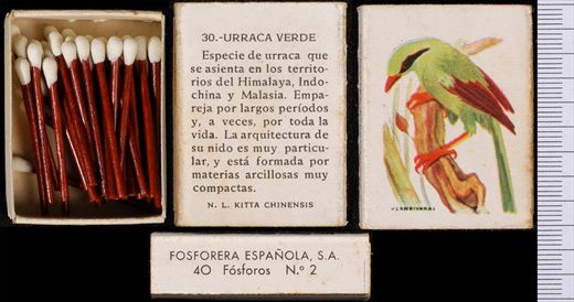 Aves Exoticas (FESA) 30