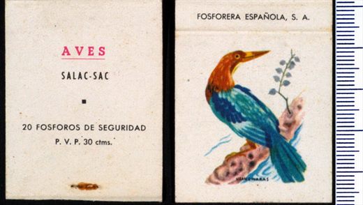 Aves - Salac-sac - FESA