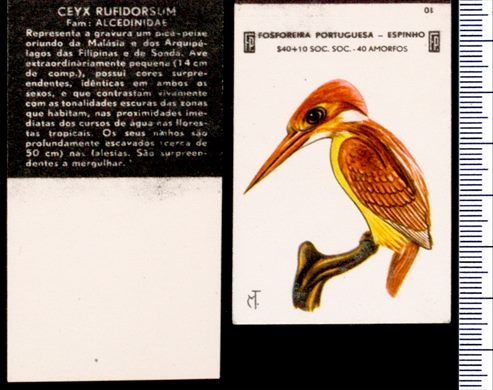 Aves - FP-Espinho 10