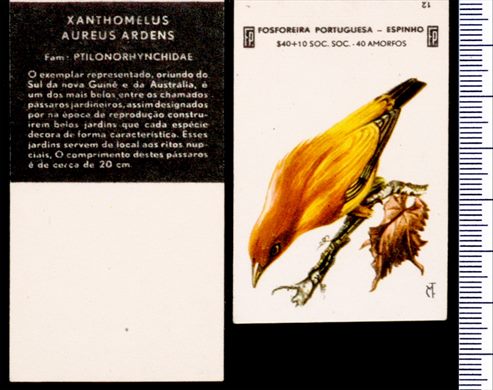Aves - FP-Espinho 12