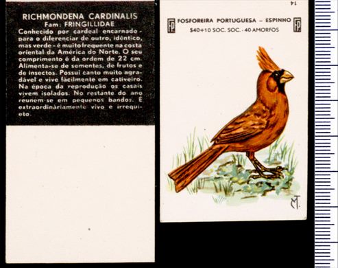 Aves - FP-Espinho 14