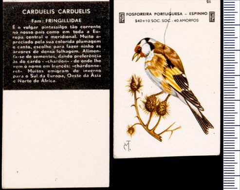 Aves - FP-Espinho 15