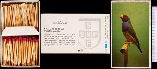 Aves Exoticas 3 (SNF)