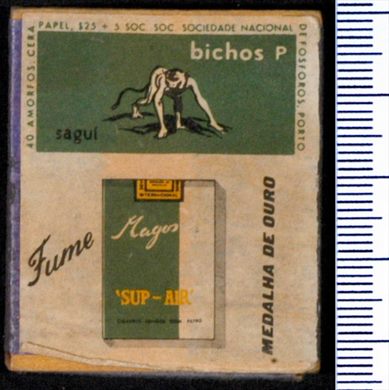 Bichos P sagui - Magos (SNF-Porto)