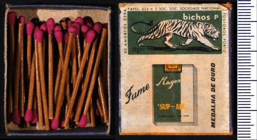 Bichos P tigre - Magos (SNF-Porto)