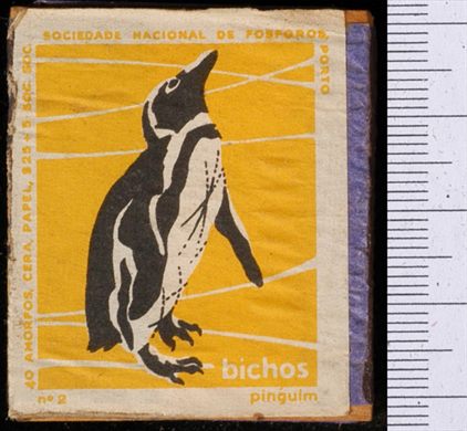 Bichos - Serie Amarela (SNF-Porto) 02