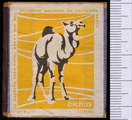 Bichos - Serie Amarela (SNF-Porto) 05