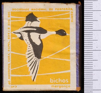 Bichos - Serie Amarela (SNF-Porto) 07