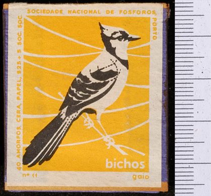 Bichos - Serie Amarela (SNF-Porto) 11