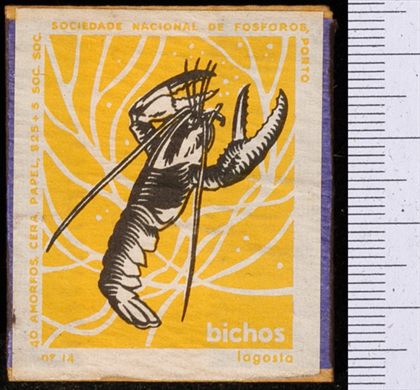 Bichos - Serie Amarela (SNF-Porto) 14