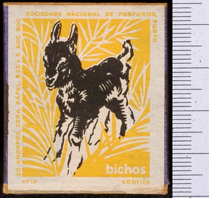 Bichos - Serie Amarela (SNF-Porto) 16