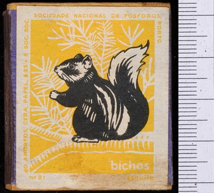 Bichos - Serie Amarela (SNF-Porto) 21