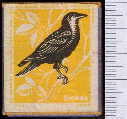 Bichos - Serie Amarela (SNF-Porto) 23