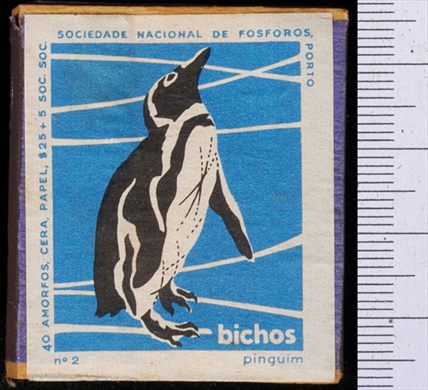 Bichos - Serie Azul (SNF-Porto) 02