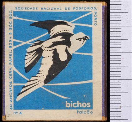Bichos - Serie Azul (SNF-Porto) 04
